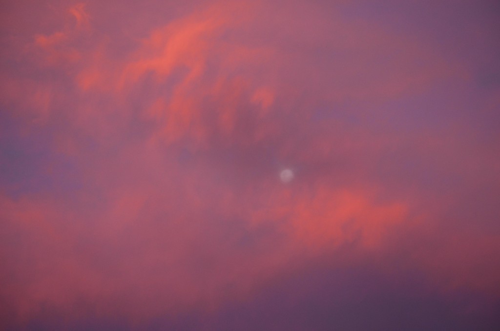 Close to full moon hiding behind a glowing orange/pink sunset.