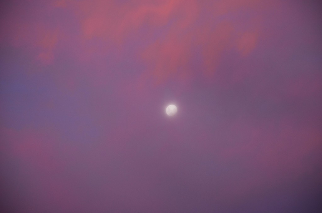Close to full moon behind a glowing pink sunset