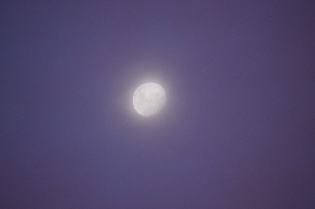 Haze moon on an evening blue sky
