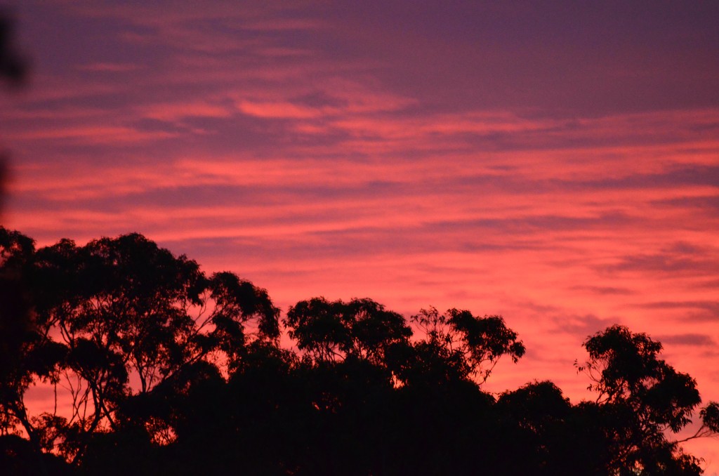 Glowing, fiery pink sunset